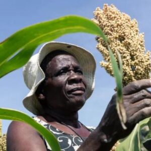 Climate Change Adaptation - Noble Youth Foundation Uganda