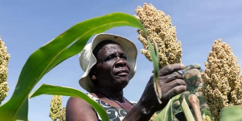 Climate Change Adaptation - Noble Youth Foundation Uganda