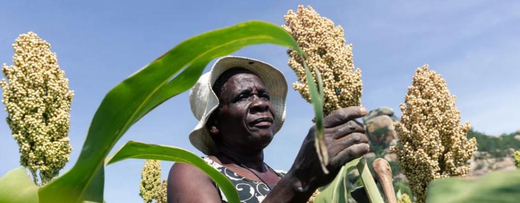 Climate Change Adaptation - Noble Youth Foundation Uganda