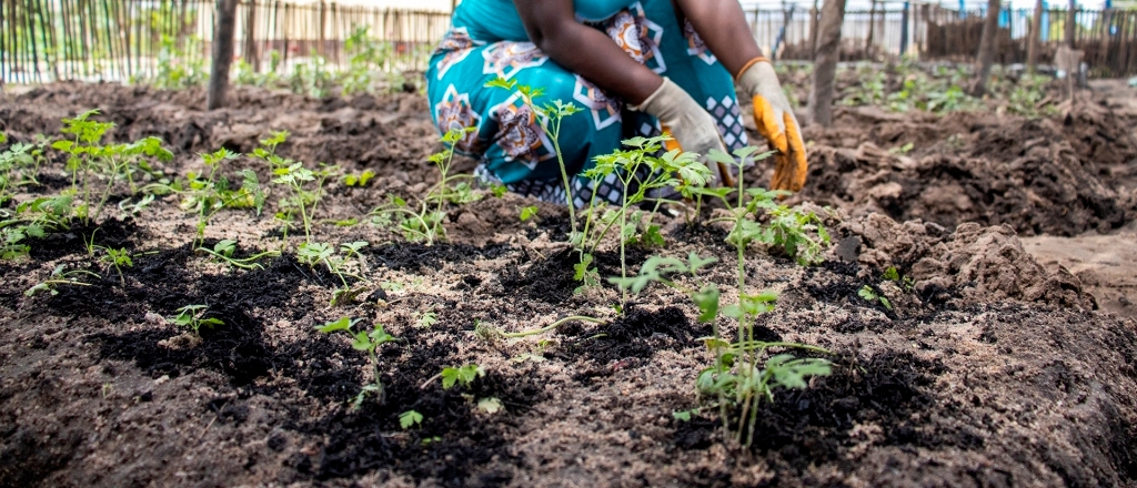 Community-based Initiatives for Environmental Conservation and Adaptation