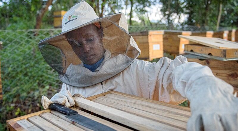 Implementing Income Generating Projects and Providing Entrepreneurship Training to Youth in Uganda