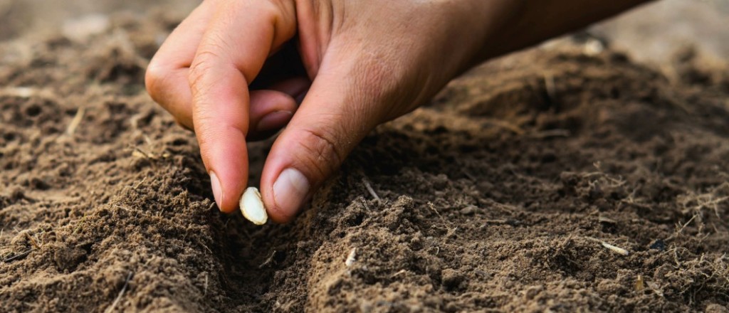 Implementing Programs for Nutrition, Hygiene, and Mental Health Support