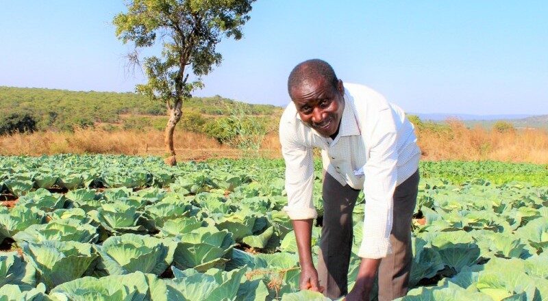 Implementing Sustainable Agriculture Practices in Communities Vulnerable to Climate Change