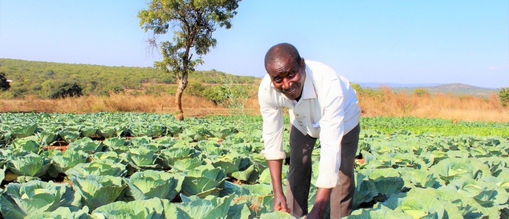 Implementing Sustainable Agriculture Practices in Communities Vulnerable to Climate Change
