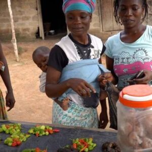 Poverty Alleviation Noble Youth Uganda