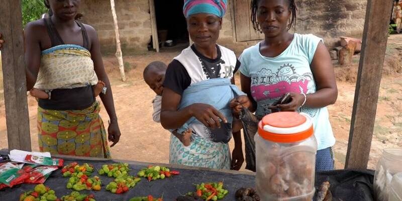 Poverty Alleviation Noble Youth Uganda