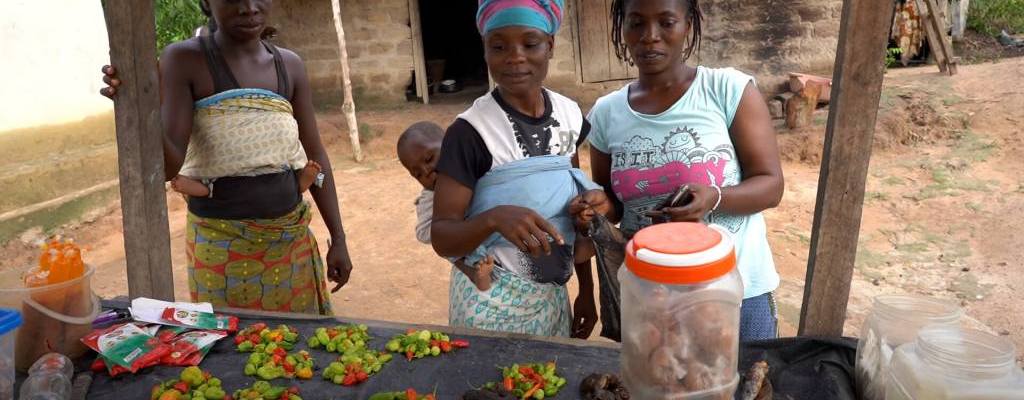 Poverty Alleviation Noble Youth Uganda