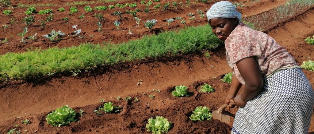 Uplift Families out of Poverty through Sustainable Development Initiatives in Uganda